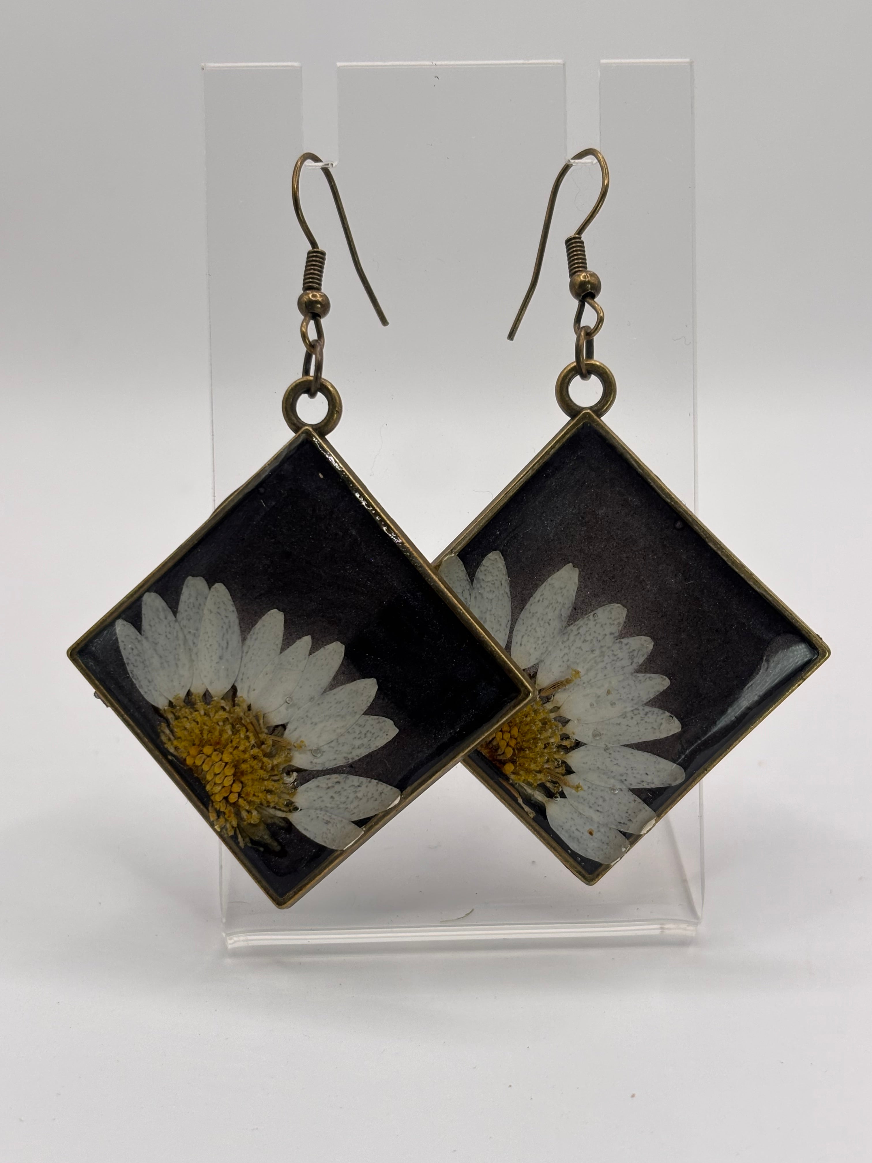 Midnight Daisy